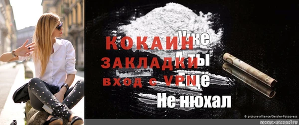 твердый Козловка
