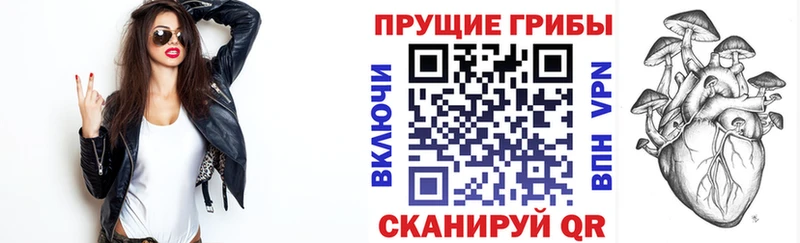 Псилоцибиновые грибы Cubensis  Купить закладки  Минеральные Воды 